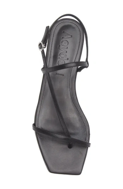Aeyde Ella Flat Sandals In Black