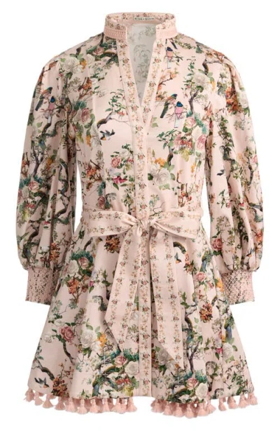 Alice And Olivia Lucy Mini Shirt Dress Sunset Grove English Rose In Multi