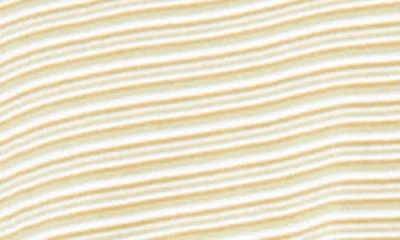 Rip Curl Aots Stripe T-shirt In Brown