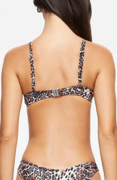 Lioness Muse Leopard Print Bikini Top In Multi