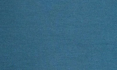 Universal Standard Foundation Turtleneck In Blue