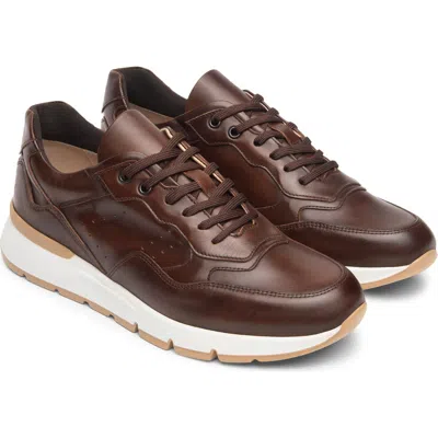 Nerogiardini Low Top Trainer Sneaker In Brown