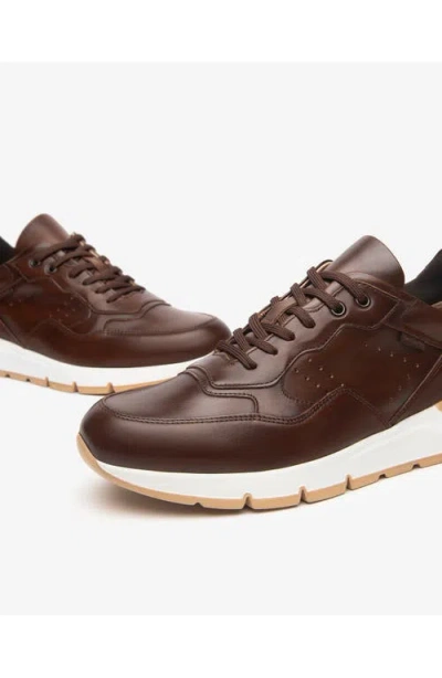 Nerogiardini Low Top Trainer Sneaker In Brown
