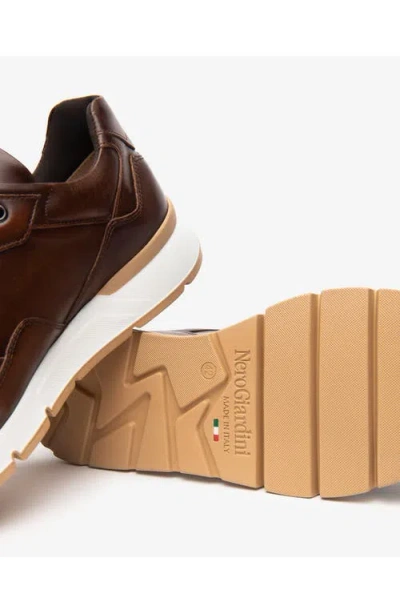 Nerogiardini Low Top Trainer Sneaker In Brown