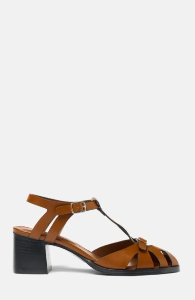Scarosso Giulia Fisherman Heeled Sandals In Brown