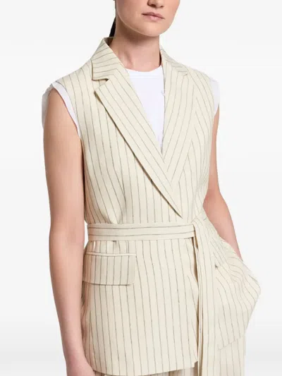 Peserico Pinstripe-pattern Belted Jacket In Multi