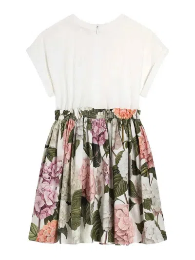 Dolce & Gabbana Jersey Dress With Hydrangea Print In Multi