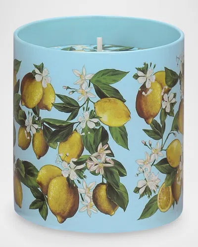 Dolce & Gabbana Scented Candle In Multi