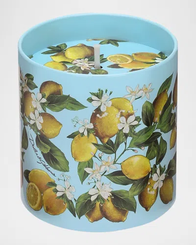 Dolce & Gabbana Scented Candle In Multi