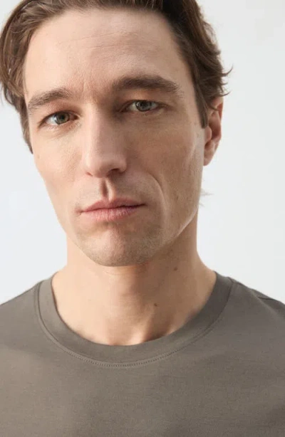 Mango Regular Fit Cotton T-shirt In Brown