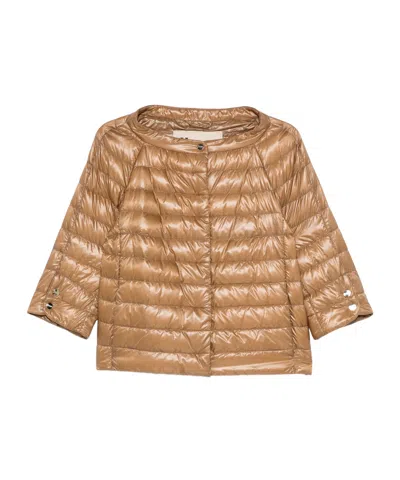 Herno Quilted Jacket In Brown
