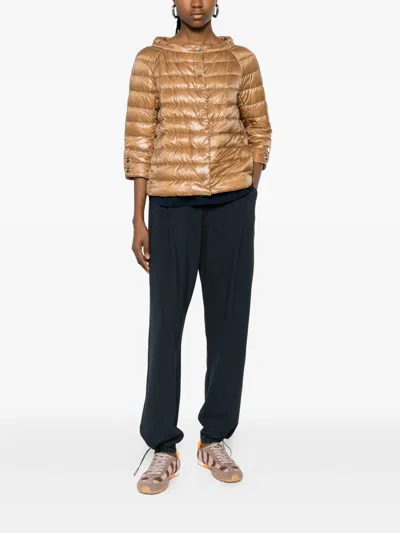 Herno Quilted Jacket In Brown