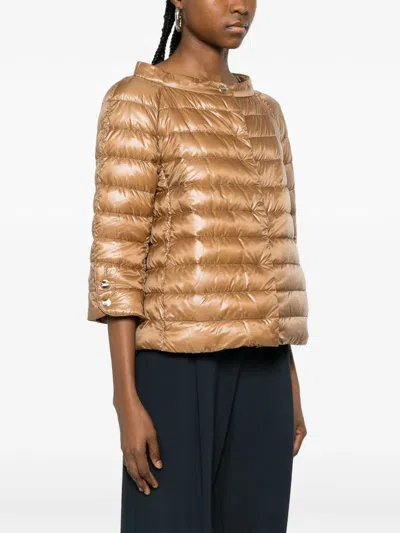 Herno Quilted Jacket In Brown