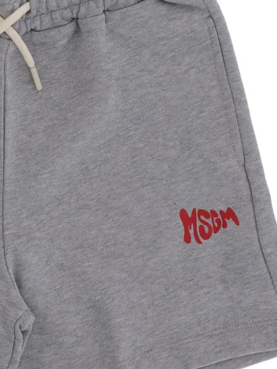 Msgm Logo-print Drawstring Shorts In Gray