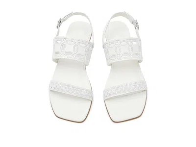Bernardo Orla In White
