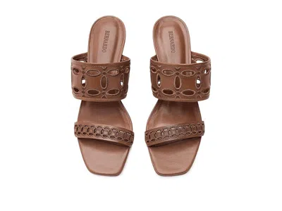 Bernardo Gemma In Brown