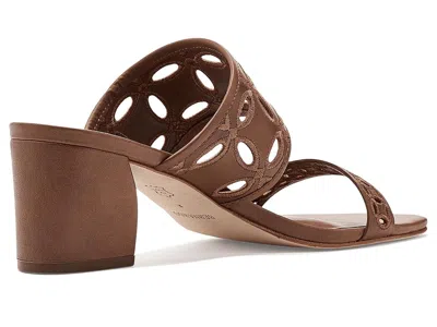 Bernardo Gemma In Brown