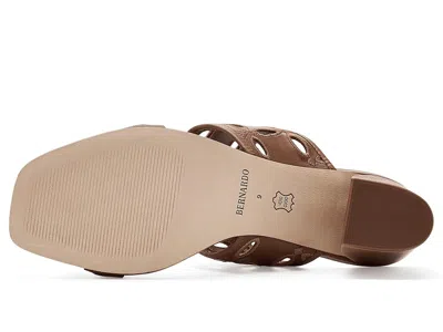 Bernardo Gemma In Brown