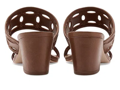 Bernardo Gemma In Brown