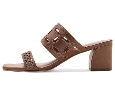 Bernardo Gemma In Brown