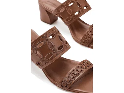 Bernardo Gemma In Brown