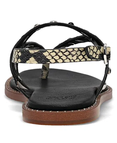 Frye And Co Bucky Studded Thong In Animal Print
