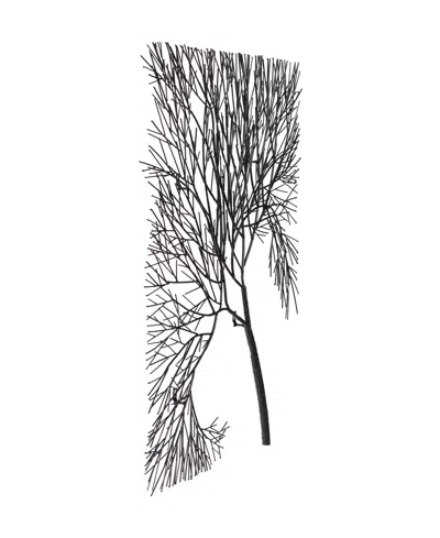 Phillips Collection Wire Tree Rectangular Metal Wall Art In Black