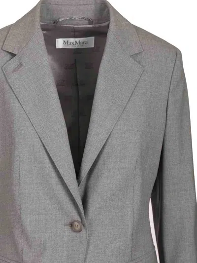 Max Mara Single-breasted Wool Jacket In Gray