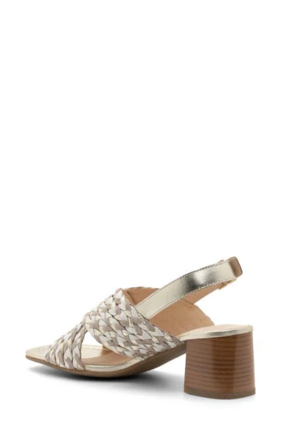 Ara Benson Slingback Sandal In Multi
