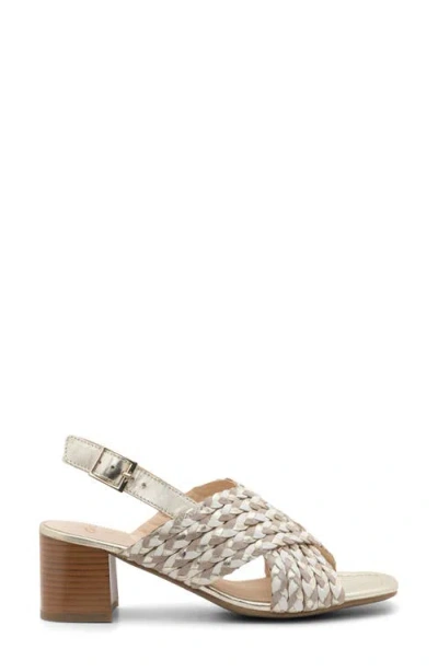 Ara Benson Slingback Sandal In Multi