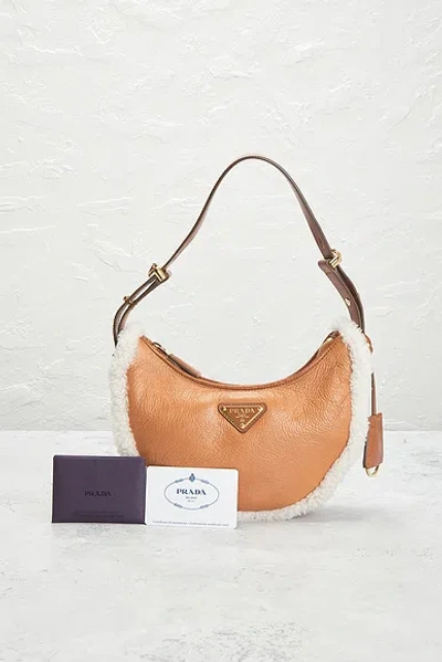 Pre-owned Prada Shearling Arque Shoulder Bag In Brown
