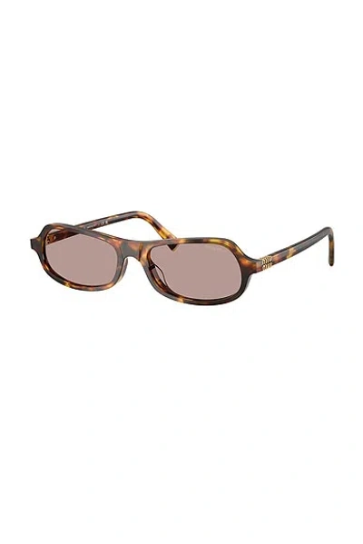 Miu Miu Womens Brown Mu A03s Irregular-frame Tortoise Acetate Sunglasses In Brown