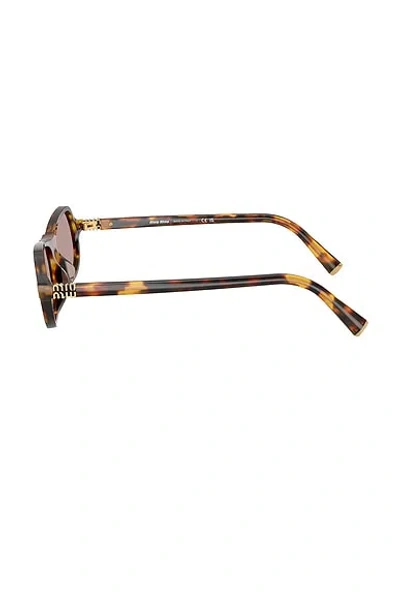Miu Miu Womens Brown Mu A03s Irregular-frame Tortoise Acetate Sunglasses In Brown