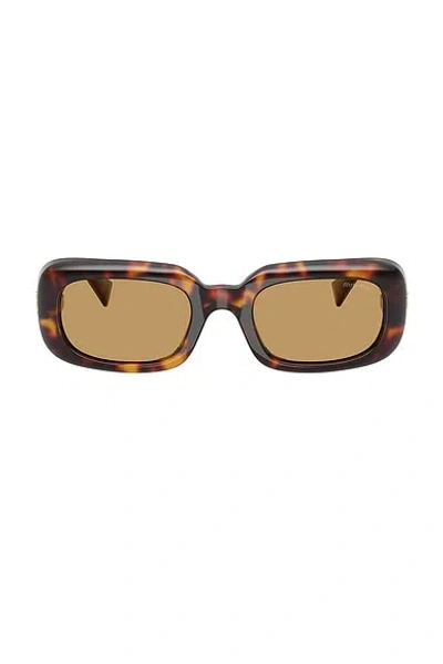Miu Miu Square-frame Acetate Sunglasses In Brown