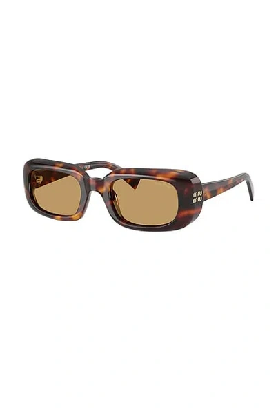 Miu Miu Square-frame Acetate Sunglasses In Brown