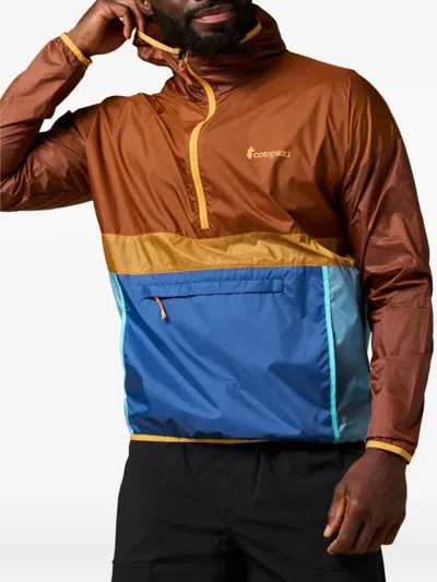 Cotopaxi Teca Hooded Jacket In Multi