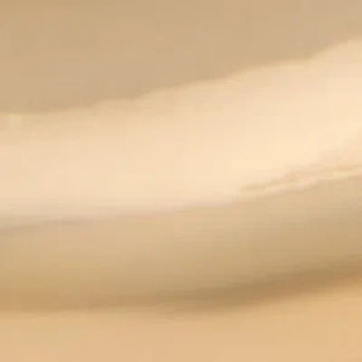 Aldo Peamethmini In Gold