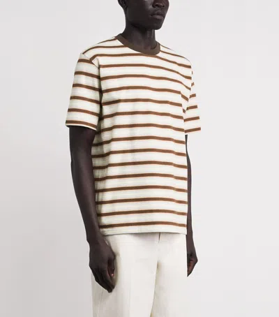 Auralee Cotton Gradient Stripe T-shirt In Brown