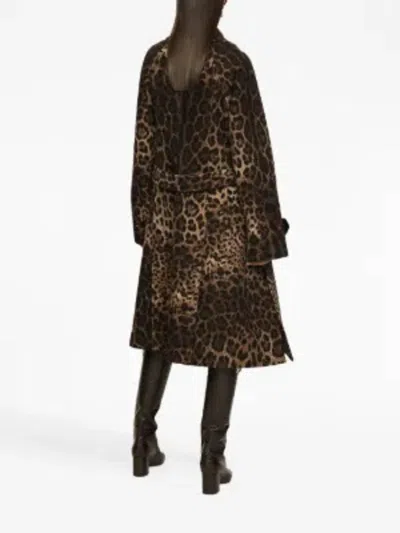 Dolce & Gabbana Leopard-print Belted Single-breasted Coat In Animal Print