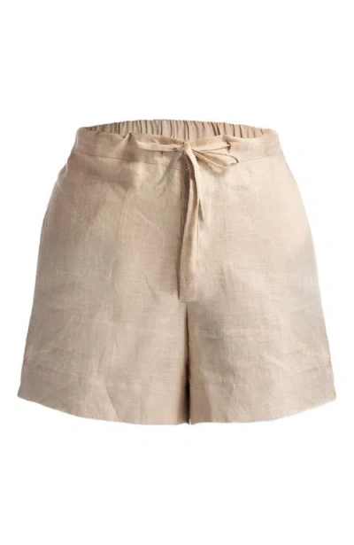 Reistor Drawstring Shorts In Brown