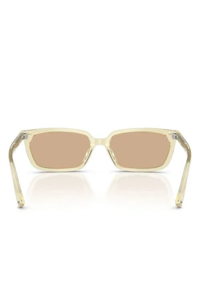 Jimmy Choo 55mm Rectangular Sunglasses In Yellow