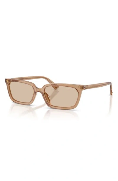 Jimmy Choo 55mm Rectangular Sunglasses In Brown