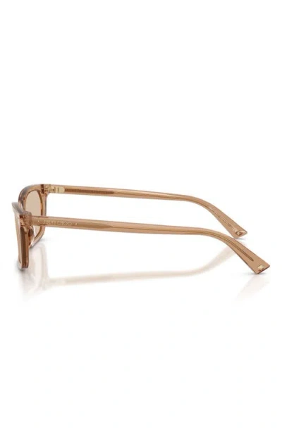 Jimmy Choo 55mm Rectangular Sunglasses In Brown