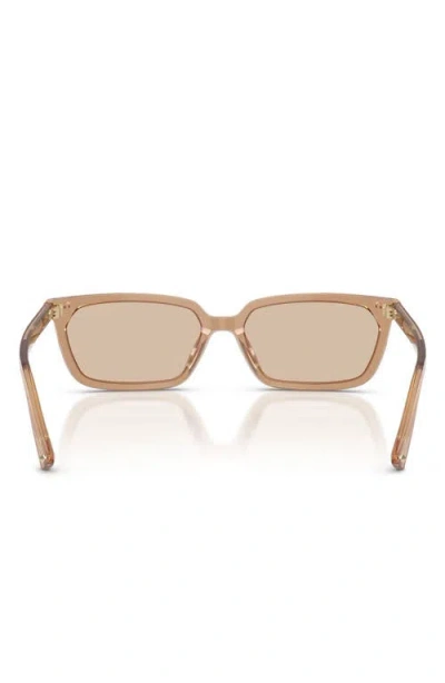 Jimmy Choo 55mm Rectangular Sunglasses In Brown
