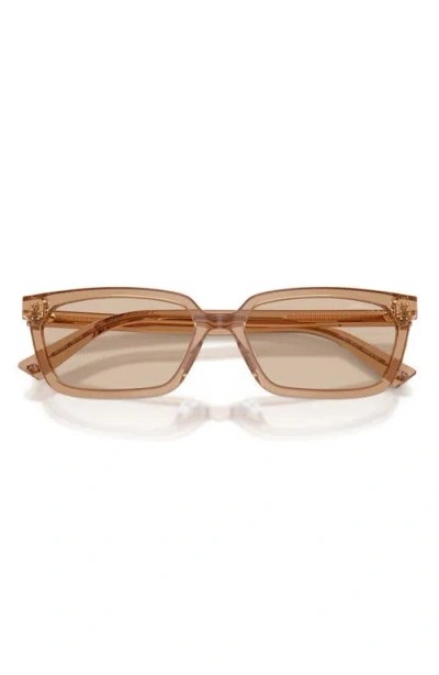 Jimmy Choo 55mm Rectangular Sunglasses In Brown
