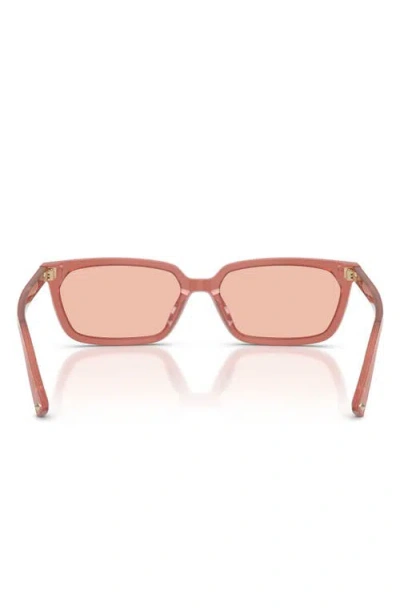 Jimmy Choo 55mm Rectangular Sunglasses In Pink