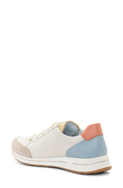 Ara Oleanna Zip Sneaker In Multi