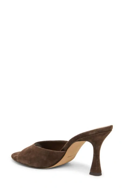 Dolce Vita Rosha Sandal In Dark Brown