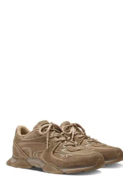 Axel Arigato Eris Beige Low Top Sneakers With Logo Patch On The Tongue In Leather And Fabric Woman In Brown
