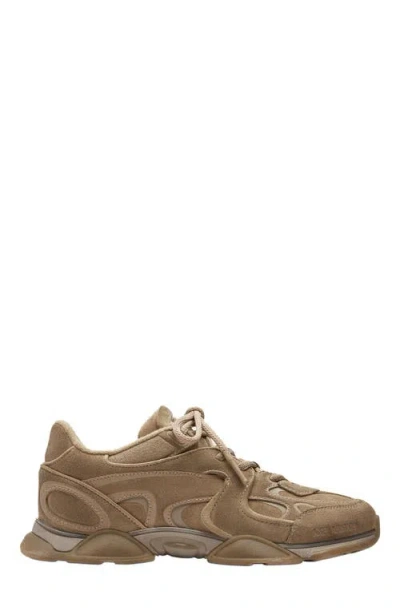 Axel Arigato Eris Beige Low Top Sneakers With Logo Patch On The Tongue In Leather And Fabric Woman In Brown